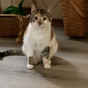 Meet your Posher, Rita